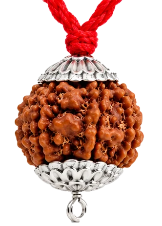 The 7 Mukhi Rudraksha pendant with ornate caps on a sacred red thread